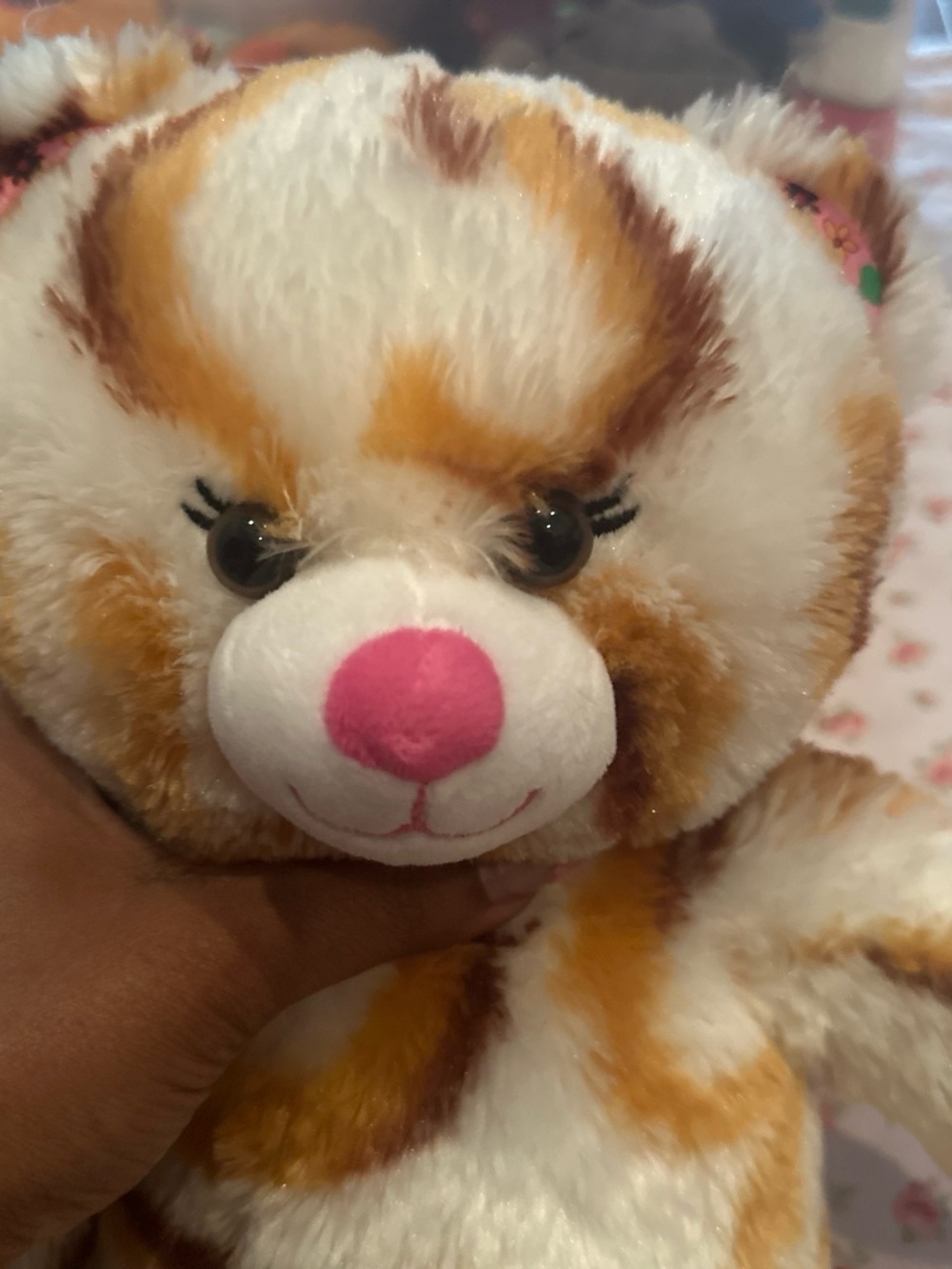 Scout s'mores bear
